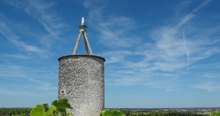 Le moulin de fanaud vu des vignes